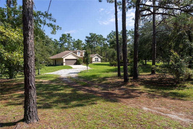 view of yard featuring a garage