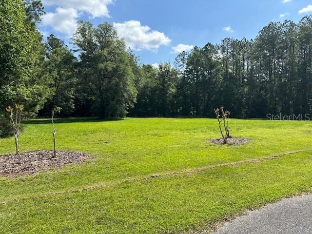 Listing photo 3 for PARCEL3 SW 128th Rd, Worthington Springs FL 32697