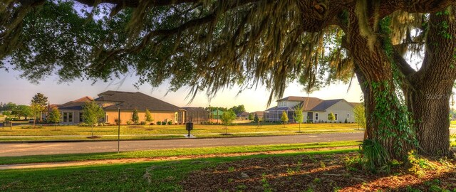 view of home's community with a lawn