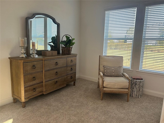 living area featuring light carpet and a wealth of natural light