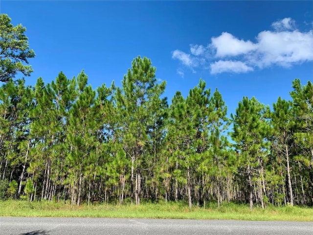 8 Jericho Trl, Eustis FL, 32736 land for sale