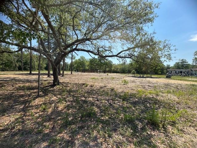 TBD NE 78th Ln, Bronson FL, 32621 land for sale