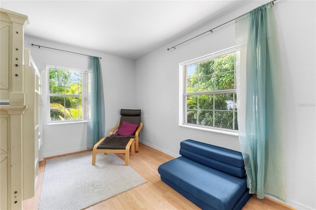 1701 38th Ave, Saint Petersburg, FL 33713 - photo 27