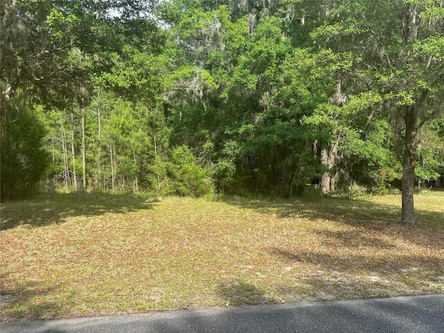 5946 NW 88th Way, Gainesville FL, 32653 land for sale