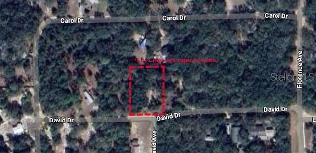 111 David Dr, Interlachen FL, 32148 land for sale