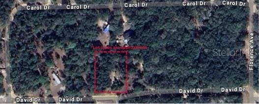 Listing photo 2 for 111 David Dr, Interlachen FL 32148