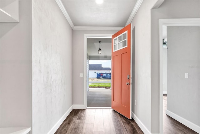 entryway with ornamental molding and dark wood-type flooring