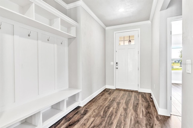 mudroom with ornamental molding, dark wood-type flooring, and a wealth of natural light