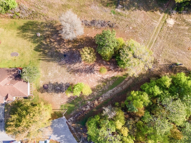 0 NE 9th St, Williston FL, 32696 land for sale