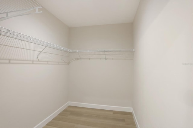 spacious closet featuring hardwood / wood-style floors