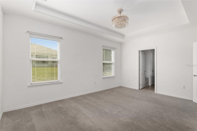 spare room featuring a wealth of natural light, carpet flooring, and a tray ceiling