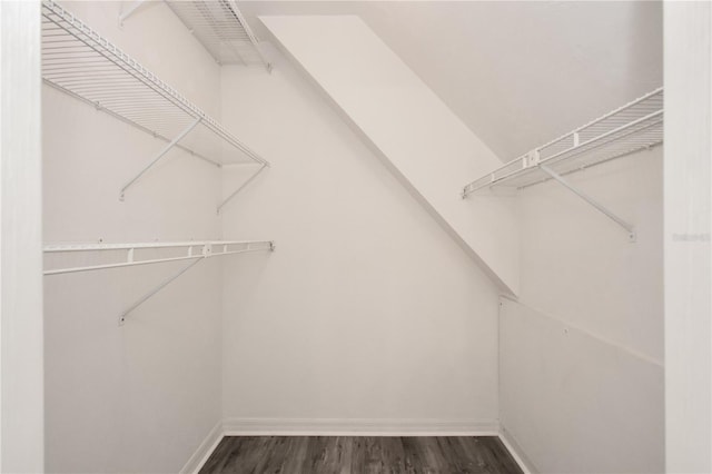 spacious closet featuring dark hardwood / wood-style floors