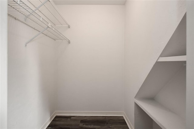 walk in closet with dark hardwood / wood-style floors