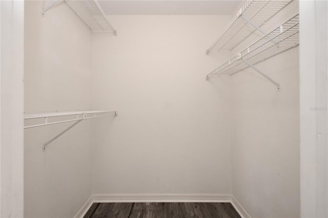 spacious closet featuring dark wood-type flooring