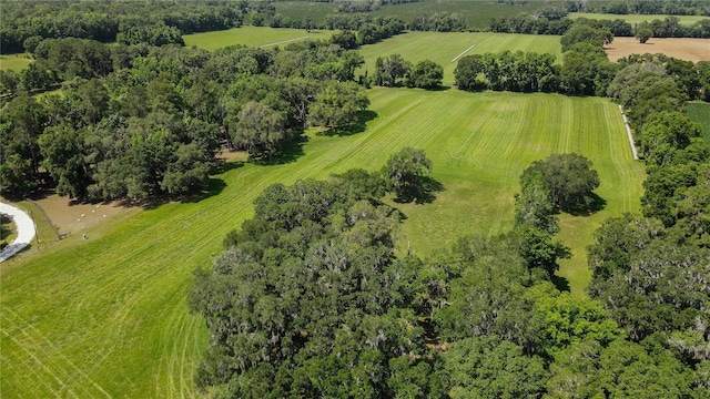 000 Old Bellamy Rd, High Springs, FL 32643 - photo 6