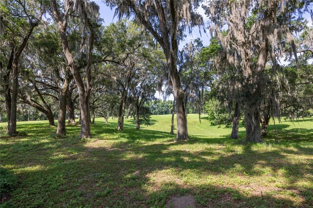 000 Old Bellamy Rd, High Springs, FL 32643 - photo 8