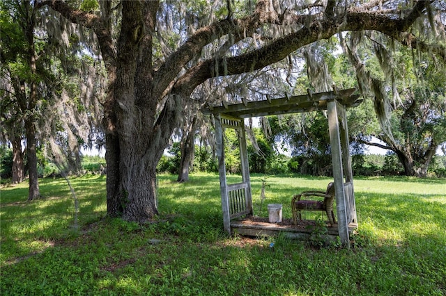 000 Old Bellamy Rd, High Springs, FL 32643 - photo 9