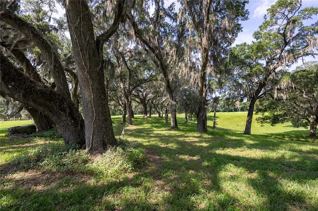 000 Old Bellamy Rd, High Springs, FL 32643 - photo 10