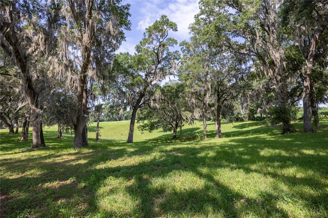 000 Old Bellamy Rd, High Springs, FL 32643 - photo 11