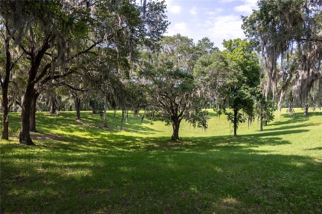 000 Old Bellamy Rd, High Springs, FL 32643 - photo 12