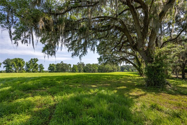 000 Old Bellamy Rd, High Springs, FL 32643 - photo 13