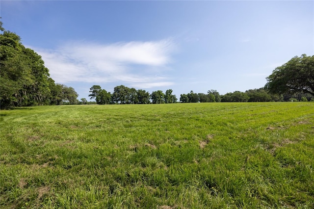000 Old Bellamy Rd, High Springs, FL 32643 - photo 15