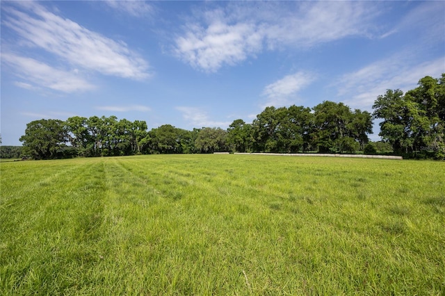 000 Old Bellamy Rd, High Springs, FL 32643 - photo 16