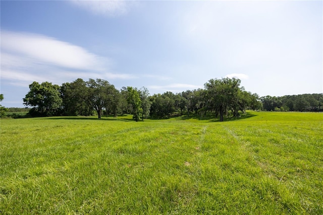 000 Old Bellamy Rd, High Springs, FL 32643 - photo 17