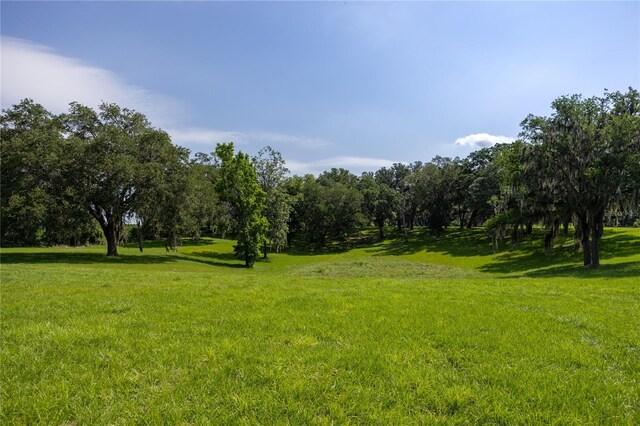 000 Old Bellamy Rd, High Springs, FL 32643 - photo 18