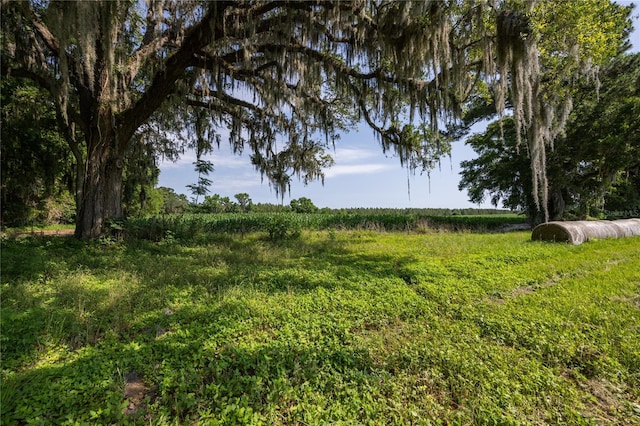 000 Old Bellamy Rd, High Springs, FL 32643 - photo 19