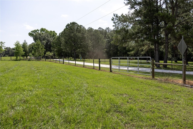 000 Old Bellamy Rd, High Springs, FL 32643 - photo 21
