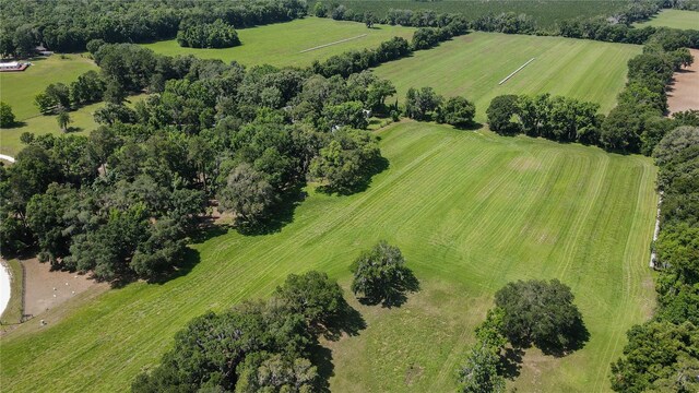 000 Old Bellamy Rd, High Springs, FL 32643 - photo 22