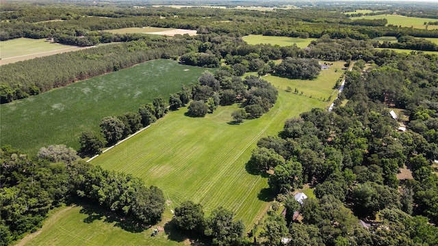 000 Old Bellamy Rd, High Springs, FL 32643 - photo 23
