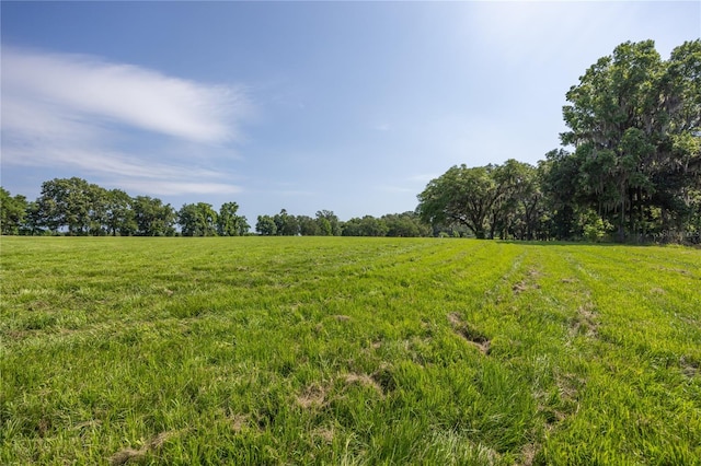 000 Old Bellamy Rd, High Springs, FL 32643 - photo 25