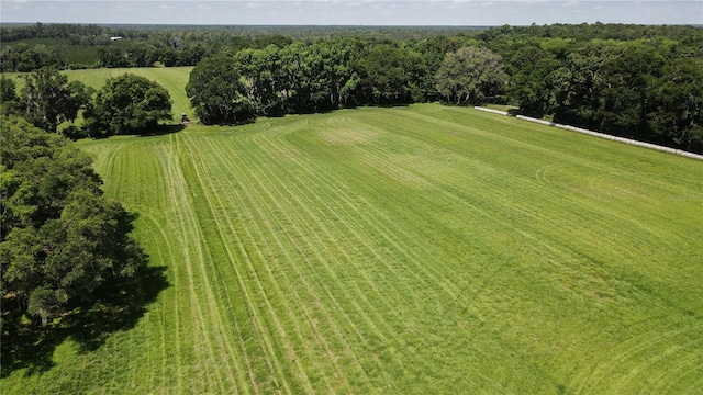 000 Old Bellamy Rd, High Springs, FL 32643 - photo 26