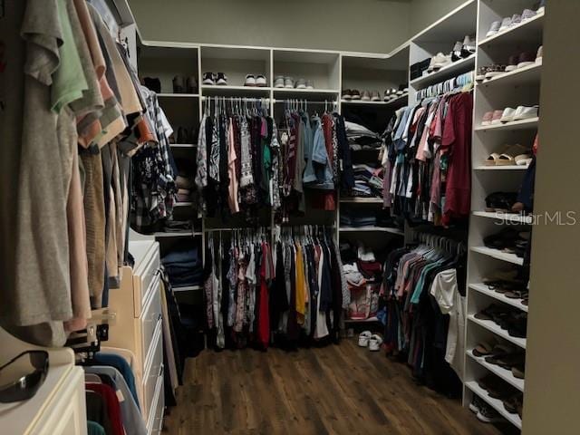 walk in closet featuring dark wood-type flooring