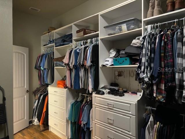 spacious closet with hardwood / wood-style flooring