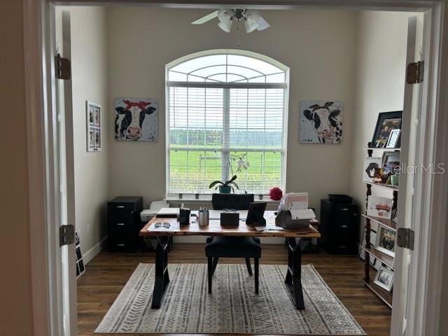 office area featuring dark hardwood / wood-style flooring and ceiling fan