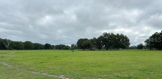 view of yard featuring a rural view