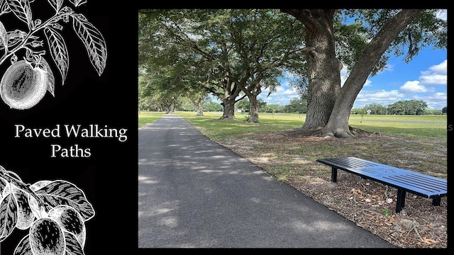 5163 SW 125th Cir, Archer, FL 32618 - photo 14