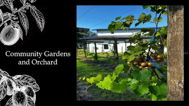 5163 SW 125th Cir, Archer, FL 32618 - photo 15