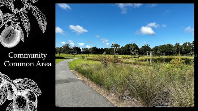 5163 SW 125th Cir, Archer, FL 32618 - photo 17