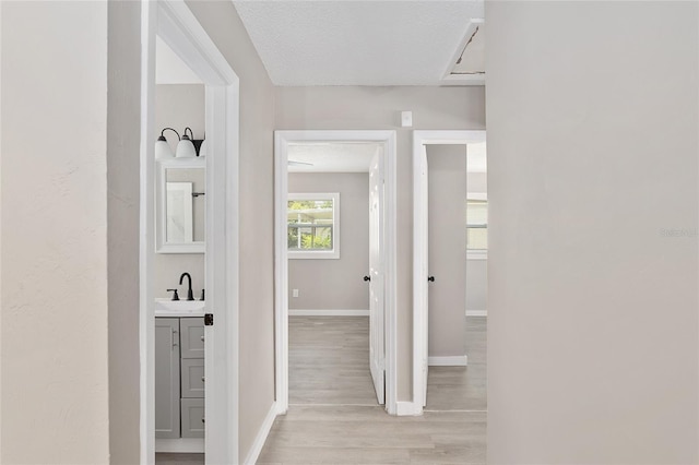 hall featuring sink, a textured ceiling, and light wood-type flooring