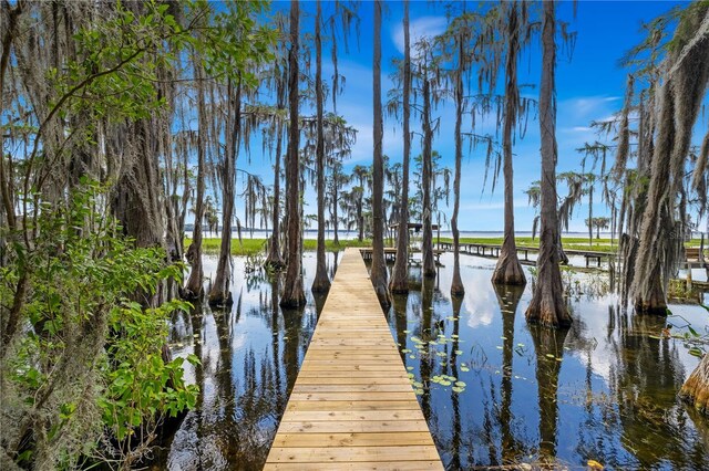 view of dock with a water view