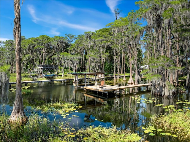 view of dock featuring a water view