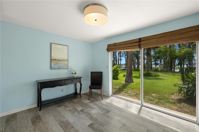 interior space featuring hardwood / wood-style flooring and a wealth of natural light