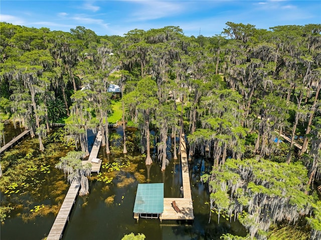 bird's eye view with a water view