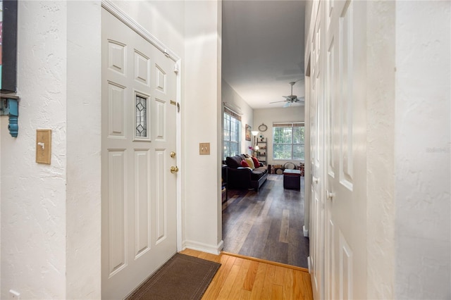 foyer entrance featuring wood-type flooring and ceiling fan