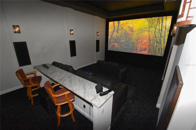 view of cinema room