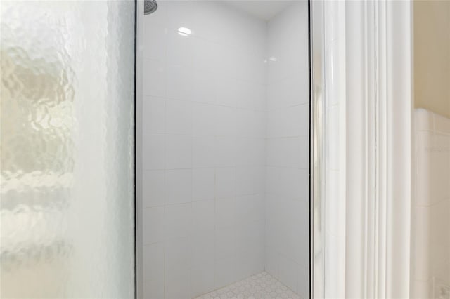 details with a shower with door